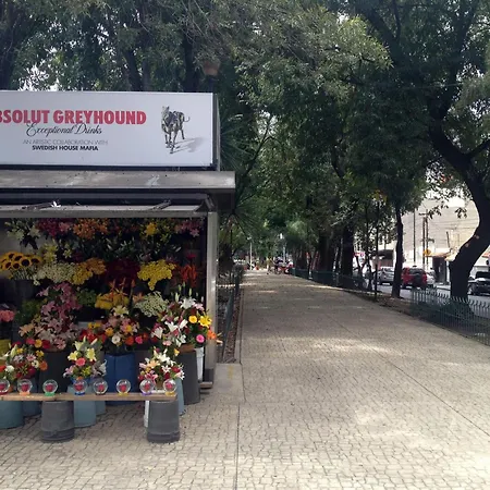 Casa Corp Boutique Suites In Condesa-2